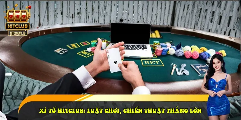 Xì Tố HitClub: Luật Chơi, Chiến Thuật Thắng Lớn